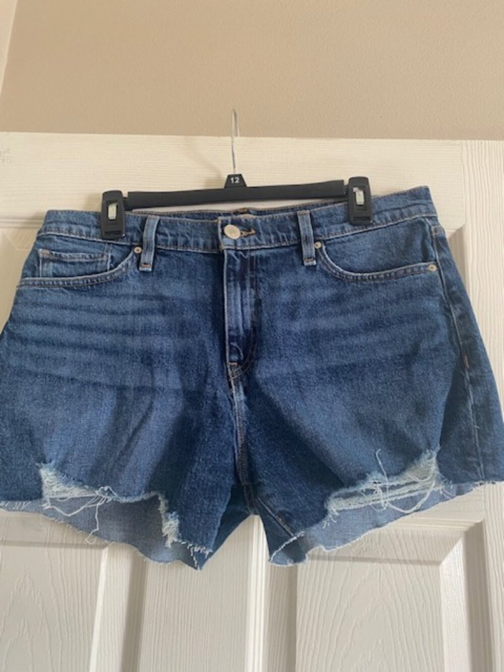 Hudson Jean Shorts